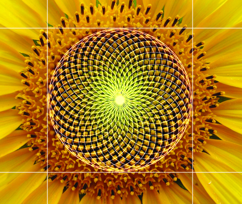 کانسپت_مُدااُم2